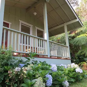 Carson'S Kaloko Mountain Cabin Kailua-Kona